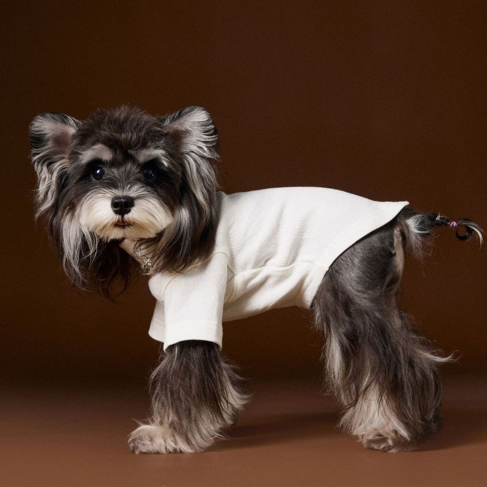 Stylish Solid Color Dog Necklace Two Leg Undershirt Shirt