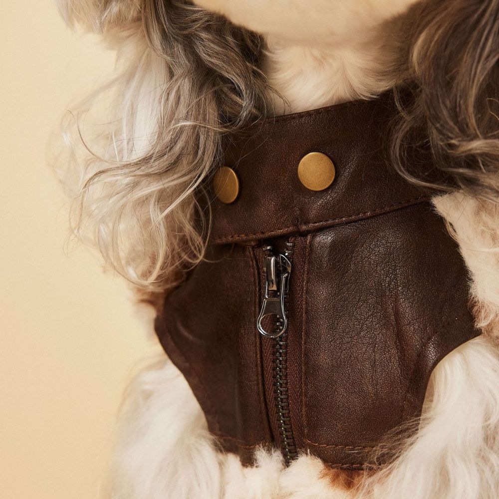 Warm Patchwork Dog Vest for Fall Winter