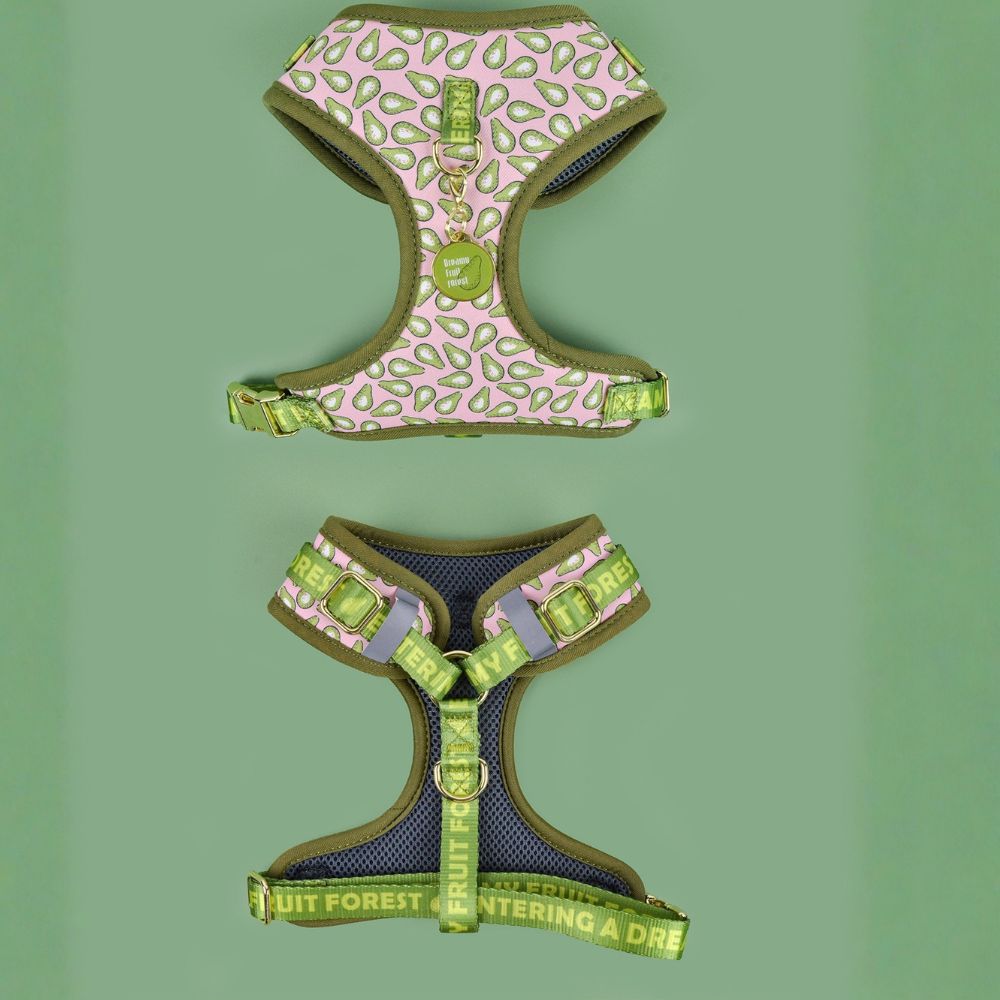 Prints and Durable Dog