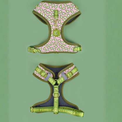 Prints and Durable Dog