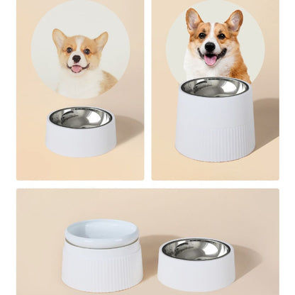 Elevated Stainless Steel Dog Bowl with Detachable Base