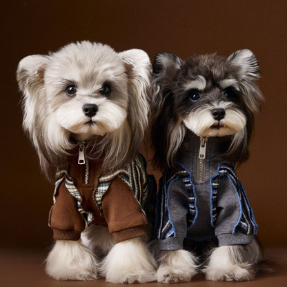 Dog Autumn Sportswear Striped Patchwork Zip-Up Hoodie