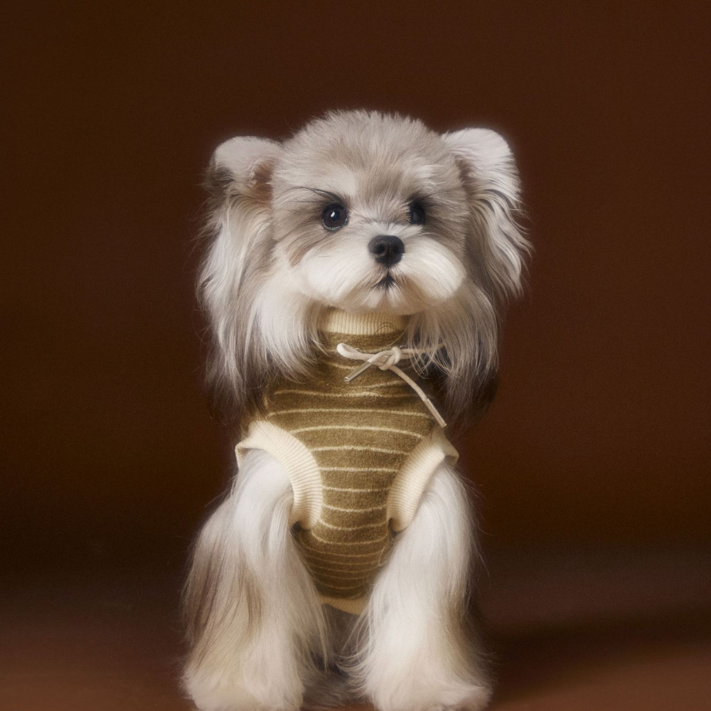 Dog Autumn Striped Sleeveless Hoodie