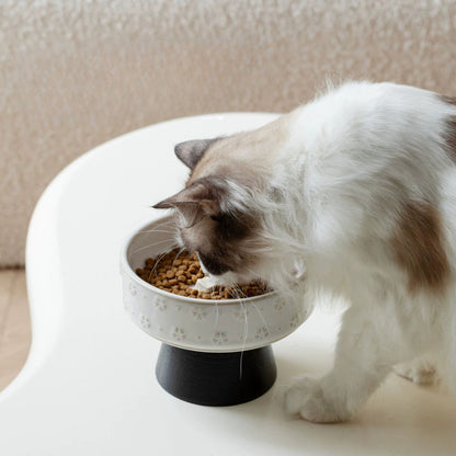 Elevated Ceramic Snowflake Pet Bowl with Wooden Stand
