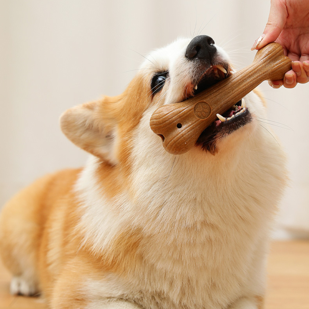 Natural Pine Wood Dog Chew Toy