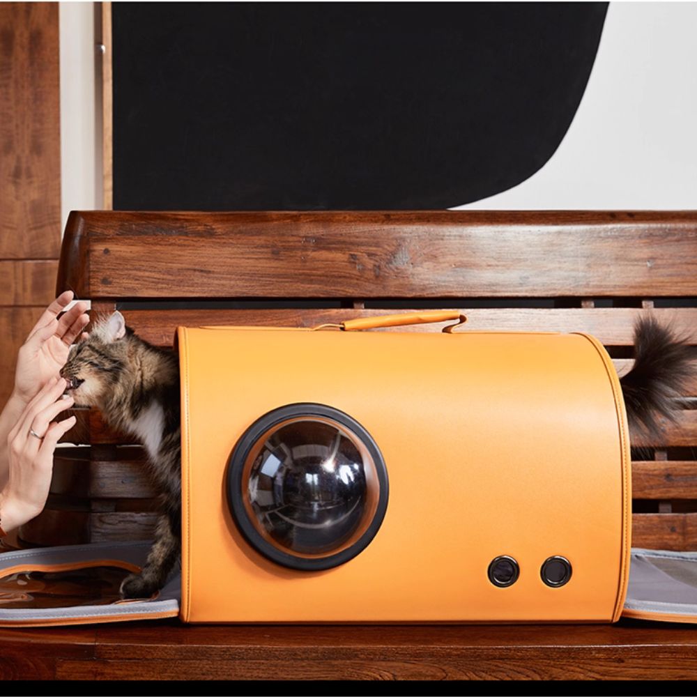 Space Capsule Pet Travel Bag
