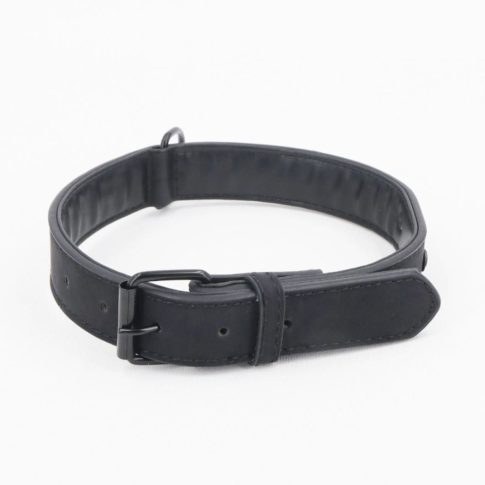 Personalized Leather Dog Collar with Engraved Nameplate