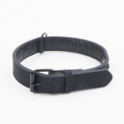 Personalized Leather Dog Collar with Engraved Nameplate