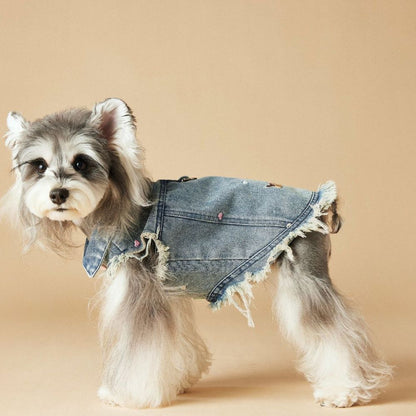 Spring Summer Embroidered Frayed Denim Dog Vest