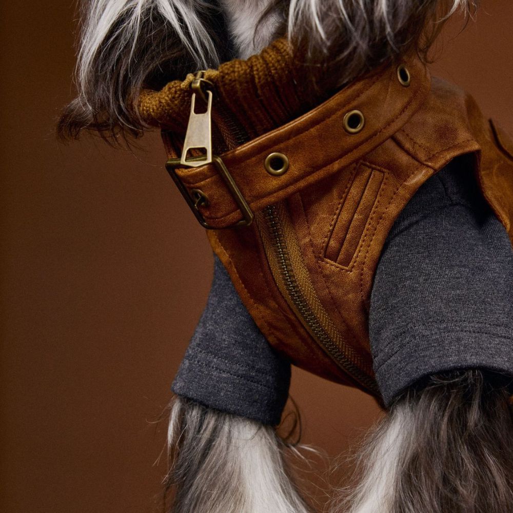 Autumn Vintage Cool Sleeveless Leather Dog Vest