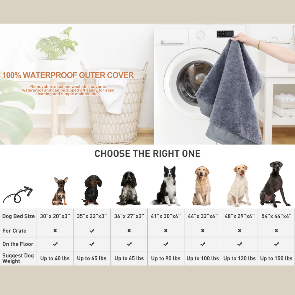 Washable Memory Foam Soft Large Dog Bed