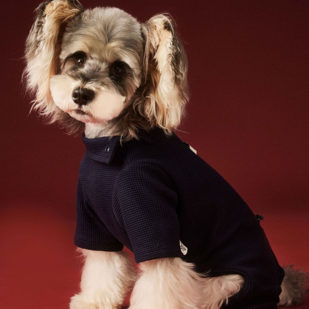 Autumn Winter Waffle Four-Leg Dog Base Shirt