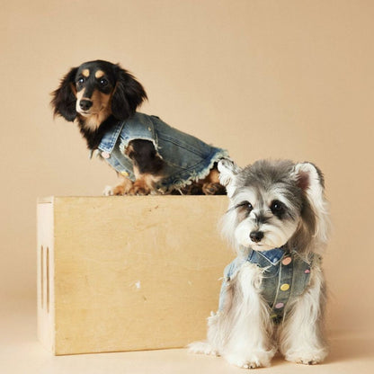 Spring Summer Embroidered Frayed Denim Dog Vest