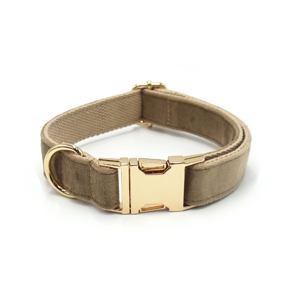Personalized Velvet Dog Collar with Custom Engraved Metal Buckle