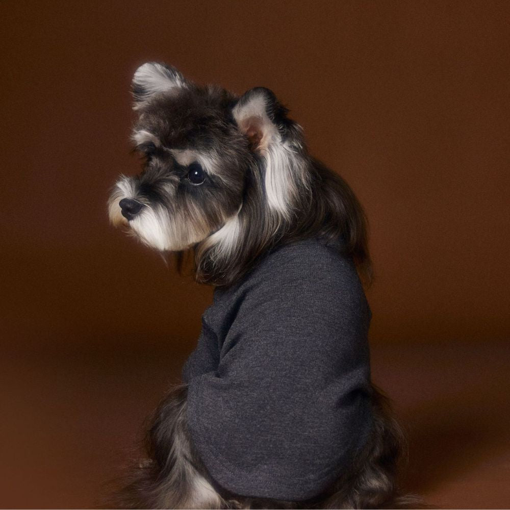 Stylish Solid Color Dog Necklace Two Leg Undershirt Shirt