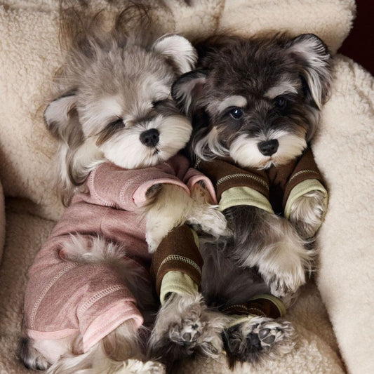 Autumn Winter Cozy Color-Block Silk Wool Dog Base Shirt