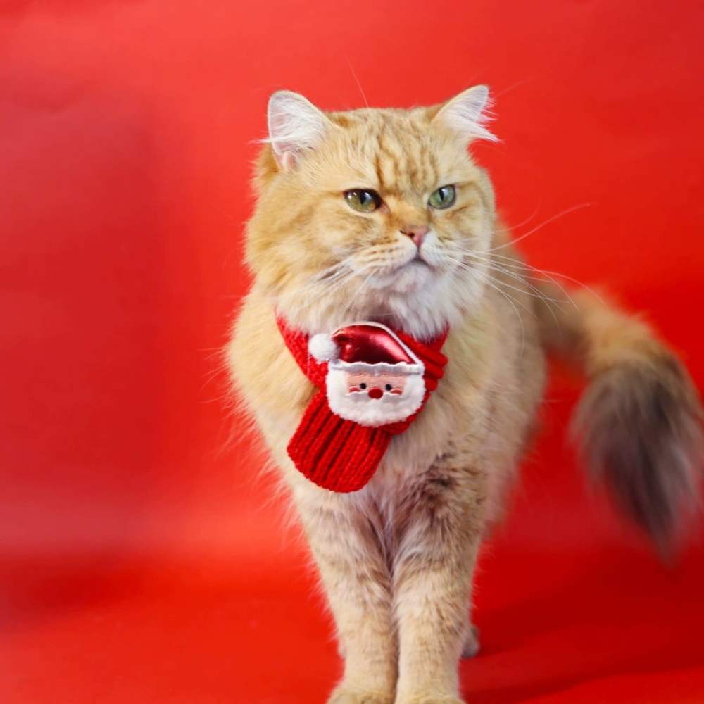 Winter Knit Scarf for Cats & Dogs – Cozy Holiday Pet Accessory