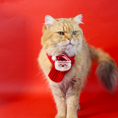Winter Knit Scarf for Cats & Dogs – Cozy Holiday Pet Accessory
