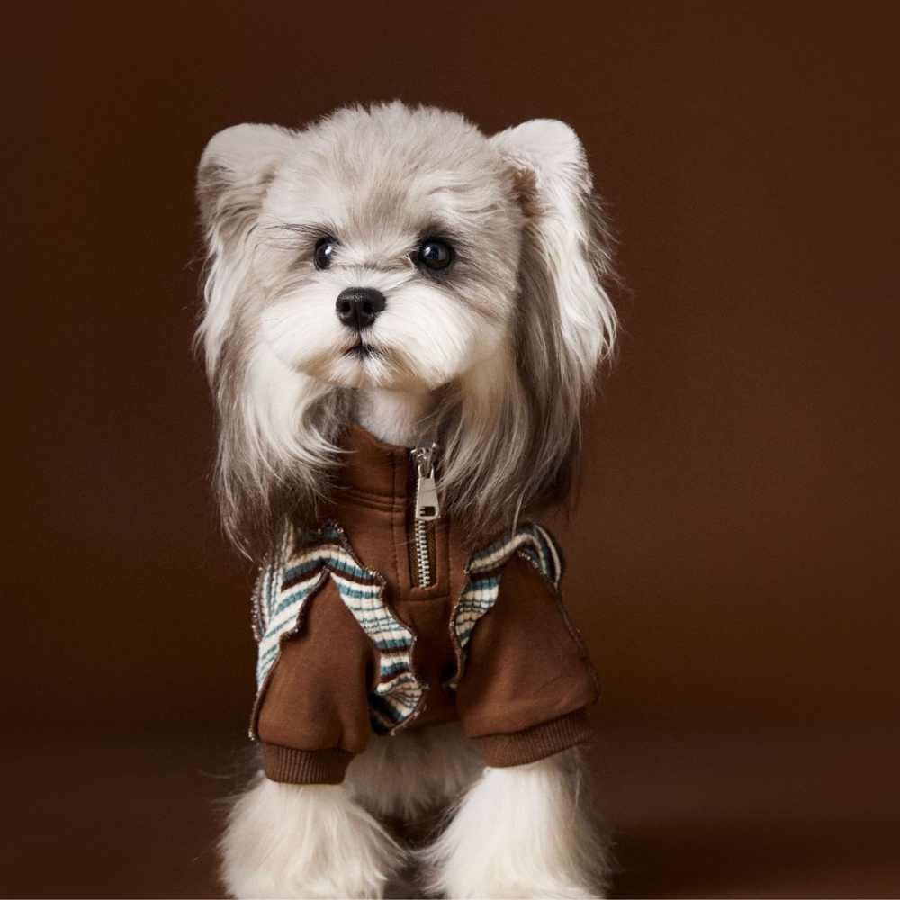 Dog Autumn Sportswear Striped Patchwork Zip-Up Hoodie