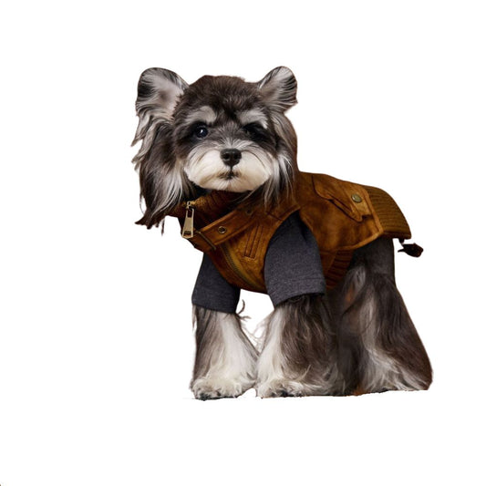 Autumn Vintage Cool Sleeveless Leather Dog Vest