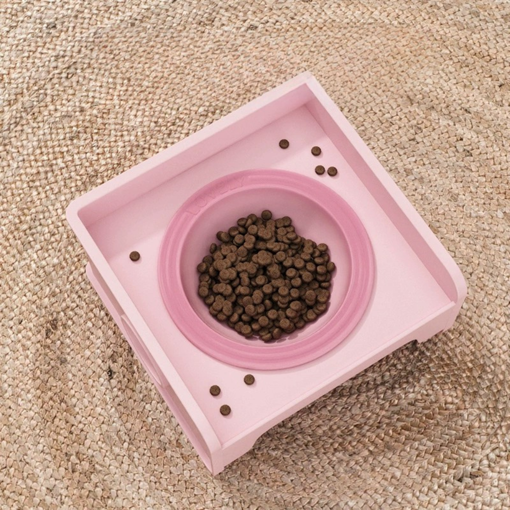 Modular Elevated Plastic Pet Bowl with Anti-Spill Design
