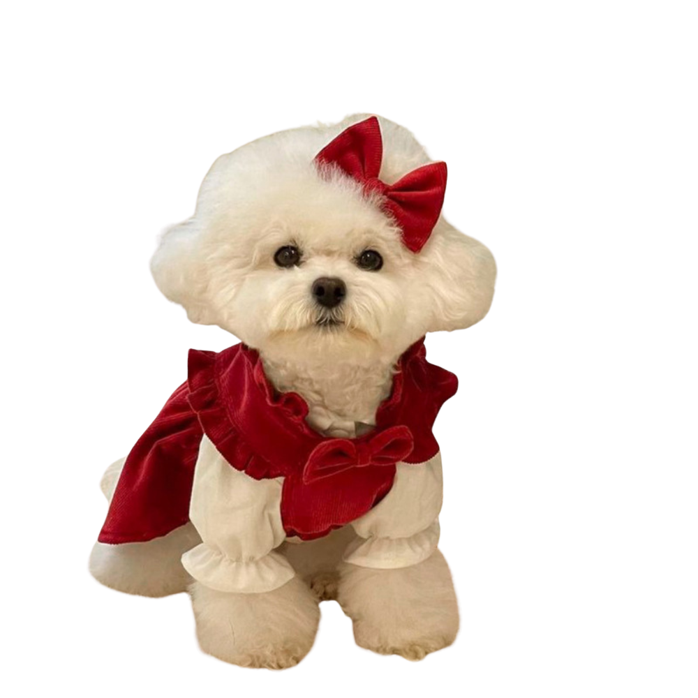 Puppy Christmas Princess Dress