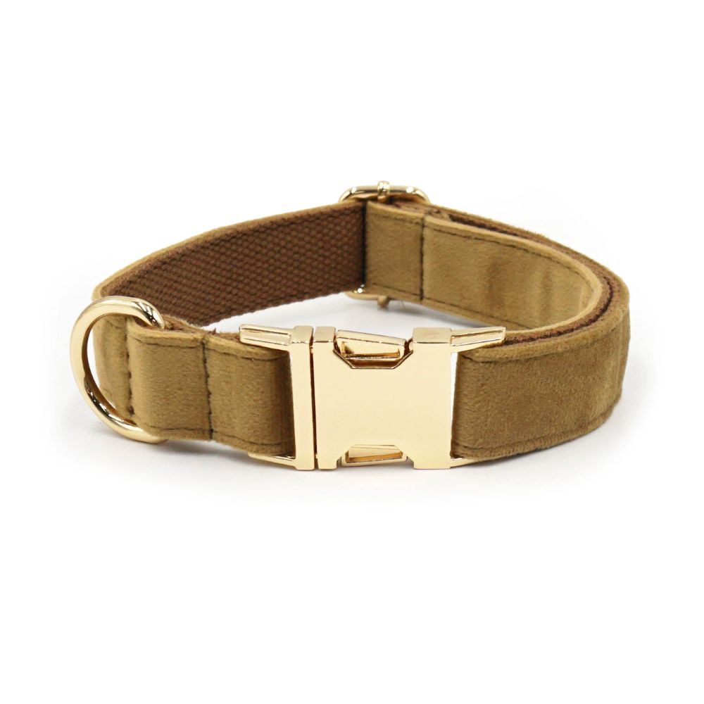 Personalized Velvet Dog Collar with Custom Engraved Metal Buckle