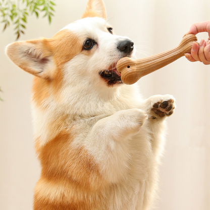 Natural Pine Wood Dog Chew Toy