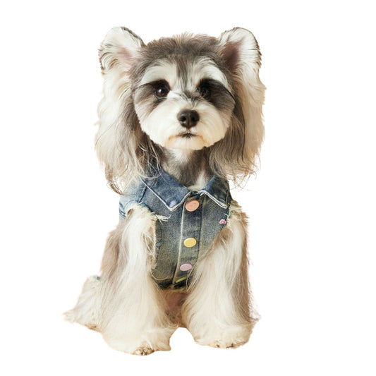 Spring Summer Embroidered Frayed Denim Dog Vest