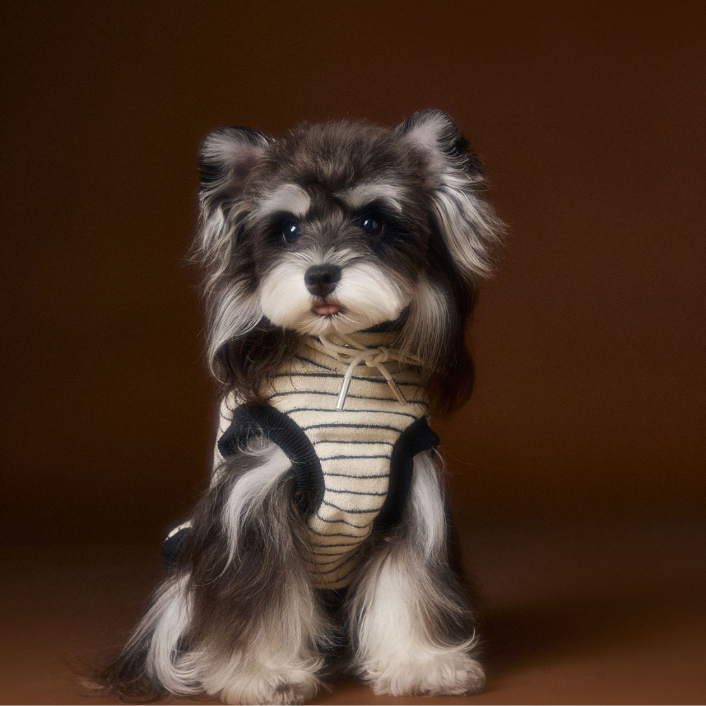 Dog Autumn Striped Sleeveless Hoodie