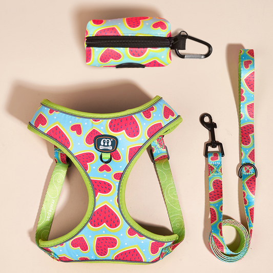Dog Harness Walking