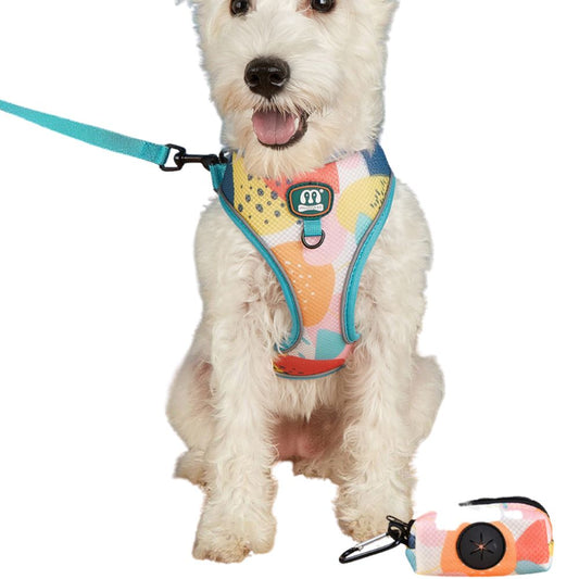 Dog Harness Walking