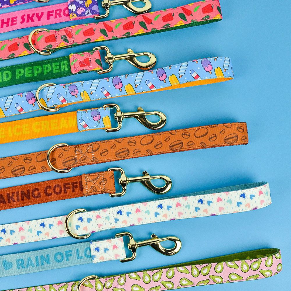 Patterned Dog Leash