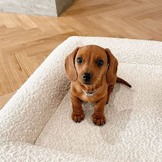 Orthopedic Foam Furry Pet Sofa Bed with Bolster Human Dog Bed