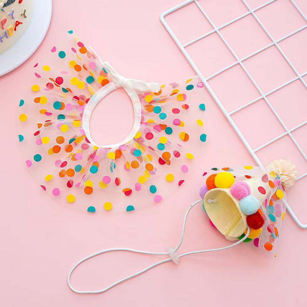 Birthday Party Cat Costume
