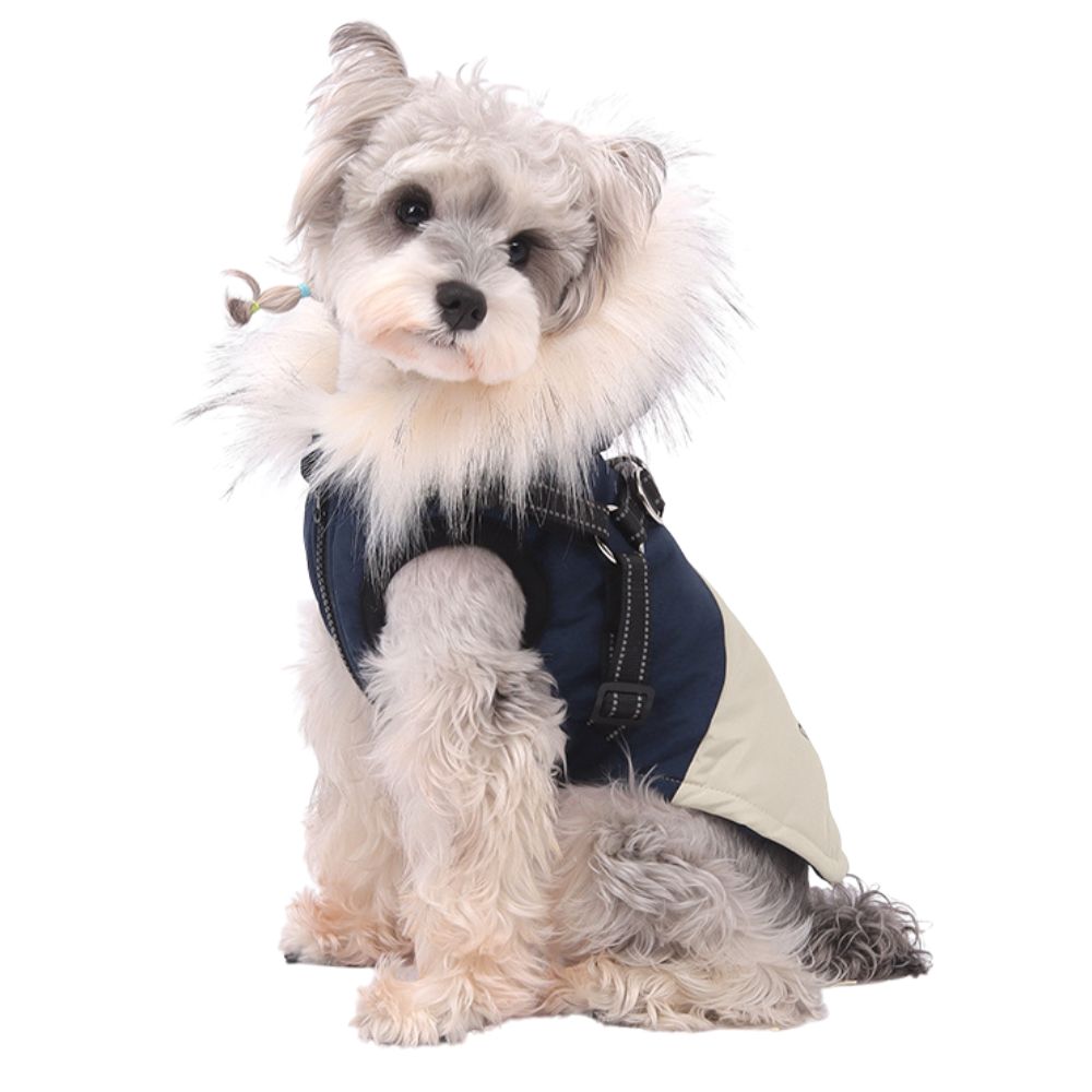 Winter with Harness Dog Coat