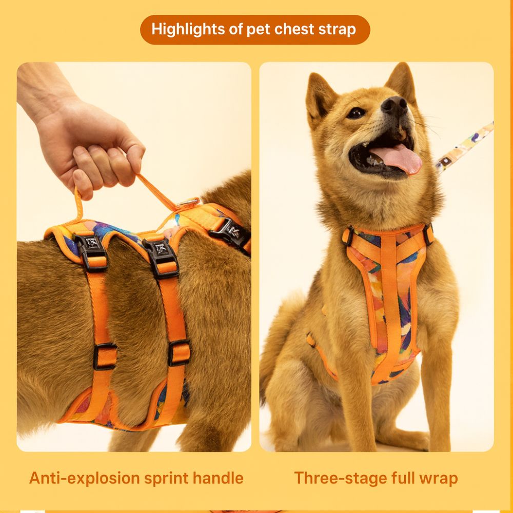 Oil Painting Pet Set Dog Supplies