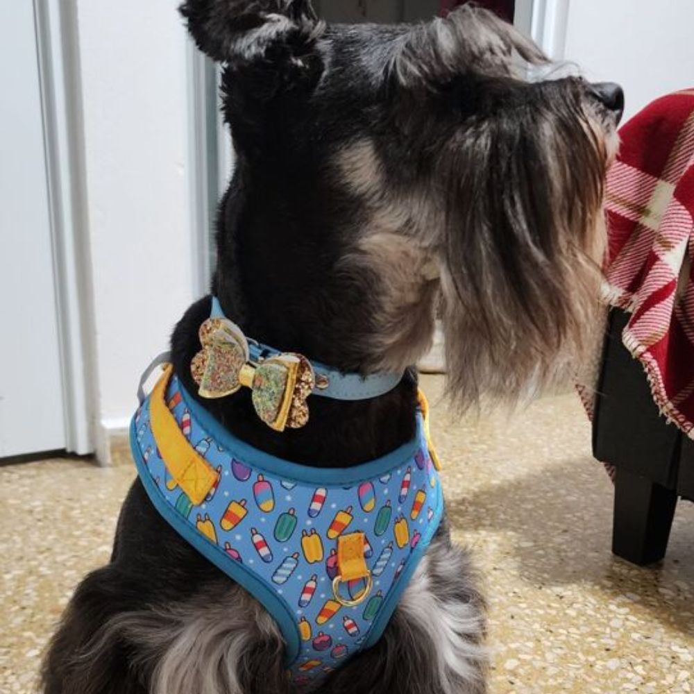 Prints and Durable Dog
