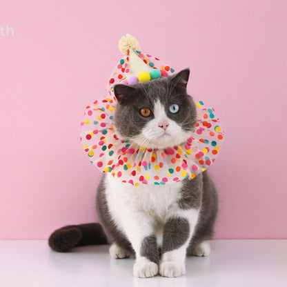 Birthday Party Cat Costume